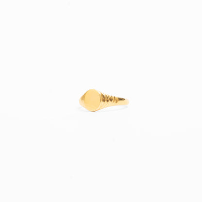 Cove Banded Signet - Gold Plated